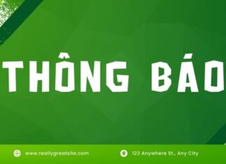 Thông báo tổ chức kỳ thi cấp chứng chỉ năng lực ngoại ngữ tiếng Nhật STBJ tại Trường Đại học Ngoại thương Cơ sở II TP. Hồ Chí Minh Kỳ thi tháng 12 năm 2025