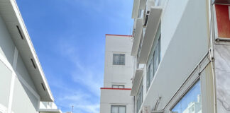 le-thi-thanh-binh-het-minh-voi-dam-me-ke-toan-kiem-toan-1